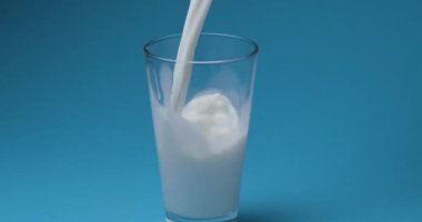 Süt mavi arka plandaki süt bardağına dökülür..