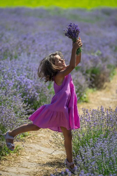 Pretty Little Girl Walking Flowering Lavender Field Gathering Flowers — Stock Photo, Image