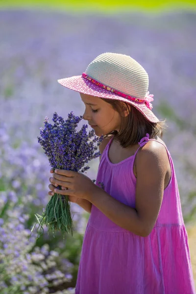 Retrato Niña Olfateando Flores Campo Lavanda —  Fotos de Stock