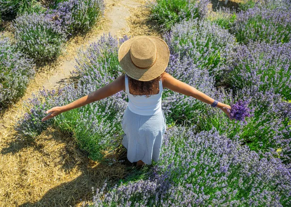 Mulher Caminhando Campo Lavanda Florido Recolhendo Flores — Fotografia de Stock