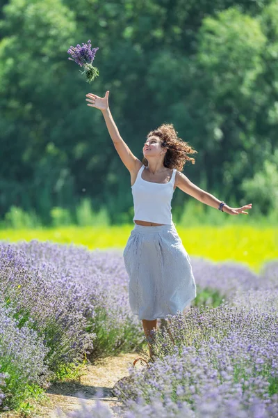 Woman walking in the flowering lavender field and gathering flowers.