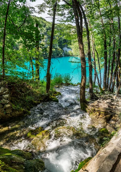 Parco Nazionale Dei Laghi Plitvice Uno Dei Parchi Nazionali Più — Foto Stock