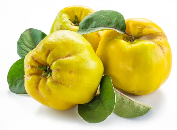 Ripe Golden Yellow Quince Fruits Isolated White Background Small Group — Stock Photo, Image