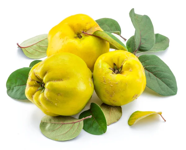 Ripe Golden Yellow Quince Fruits Isolated White Background Small Group — Stock Photo, Image