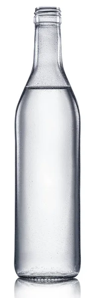 Botella Vodka Ginebra Bebida Alcohólica Refrigerada Sobre Fondo Blanco Ruta —  Fotos de Stock