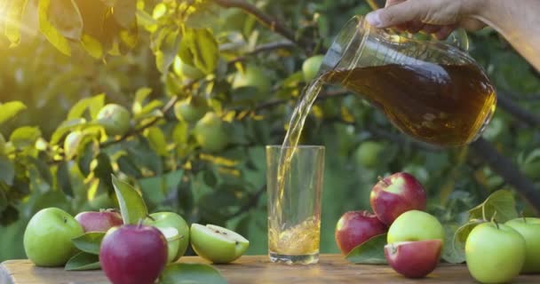 Appelsap Giet Van Een Karaf Een Glas Een Zomeravond Appelboomgaard — Stockvideo