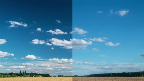 Visueel Effect Van Polarisatiefilter Het Voorbeeld Van Een Zomerlandschap Met — Stockvideo