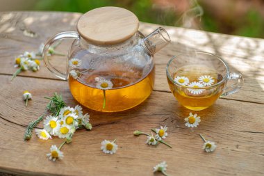 Çaydanlık ve çay bardağının yanında papatya çayı ve papatya çiçeği. Kırsal ya da kırsal arkaplan.