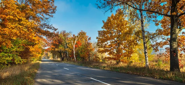 Hermoso Paisaje Otoñal Con Amarillo Naranjos Carretera Los Rayos Del —  Fotos de Stock