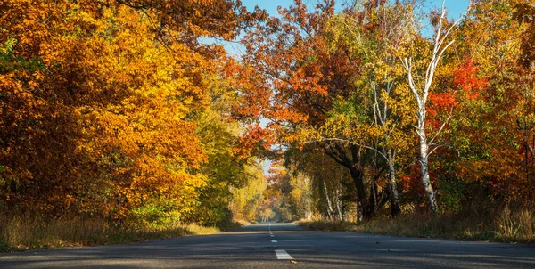 Prachtig Herfstlandschap Met Gele Sinaasappelbomen Weg Zonnestralen Van Ondergaande Zon — Stockfoto