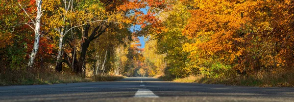 Prachtig Herfstlandschap Met Gele Sinaasappelbomen Weg Zonnestralen Van Ondergaande Zon — Stockfoto