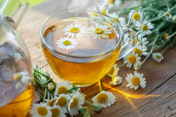 Verre Tisane Camomille Fleurs Camomille Près Théière Gros Plan — Photo