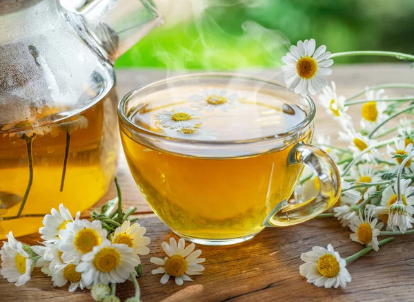 Çaydanlık Çay Bardağının Yanında Papatya Çayı Papatya Çiçeği Kırsal Kırsal — Stok fotoğraf