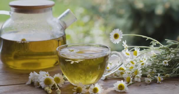 Manzanilla Una Tetera Vidrio Una Taza Cámara Mueve Alrededor Acción — Vídeo de stock