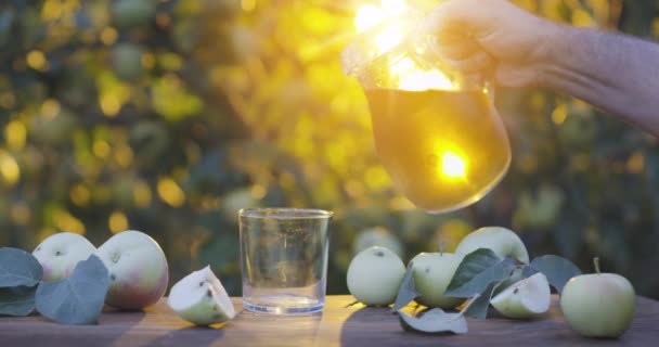 Suco Maçã Está Derramando Decantador Copo Pomar Maçã Noite Verão — Vídeo de Stock