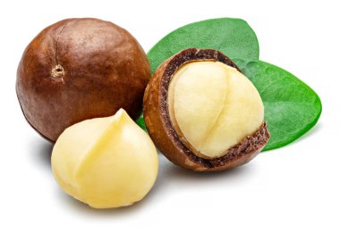 Soyulmuş Macadamia fındıkları ve beyaz arka planda izole edilmiş yapraklar.. 