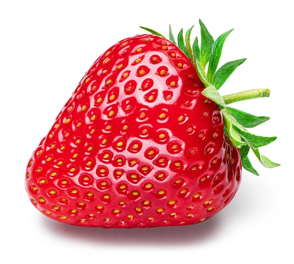 One Strawberry Isolated White Background — Stock Photo, Image