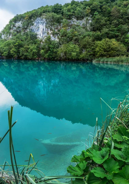 普里特维尔湖国家公园是克罗地亚历史最悠久 规模最大的国家公园之一 也是联合国教科文组织的世界遗产 湖水和公园内的小径 在欧洲各地旅行 — 图库照片