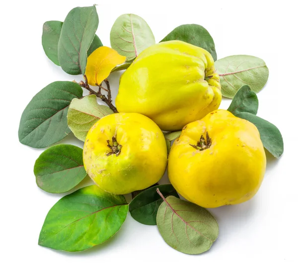 Érett Arany Sárga Birsalma Gyümölcs Elszigetelt Fehér Alapon Leveles Gyümölcsök — Stock Fotó