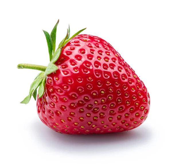 Eine Erdbeere Isoliert Auf Weißem Hintergrund — Stockfoto