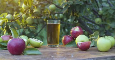 Elma suyu bardakta ve sürahi olgun elmaların arasında elma bahçesindeki eski bir masada duruyor. Kamera yavaşça yana kayıyor.. 