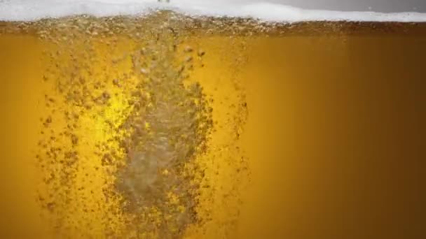 Gros Plan Sur Contenu Verre Bière Bière Est Lentement Versée — Video