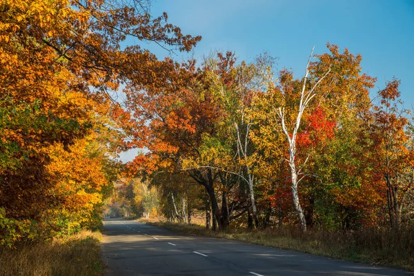 Hermoso Paisaje Otoñal Con Amarillo Naranjos Carretera Los Rayos Del — Foto de Stock