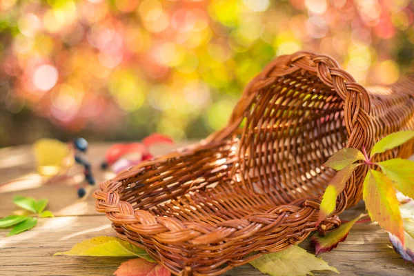 Leerer Korb Für Obst Und Gemüse Auf Einem Herbstlichen Sonnigen — Stockfoto