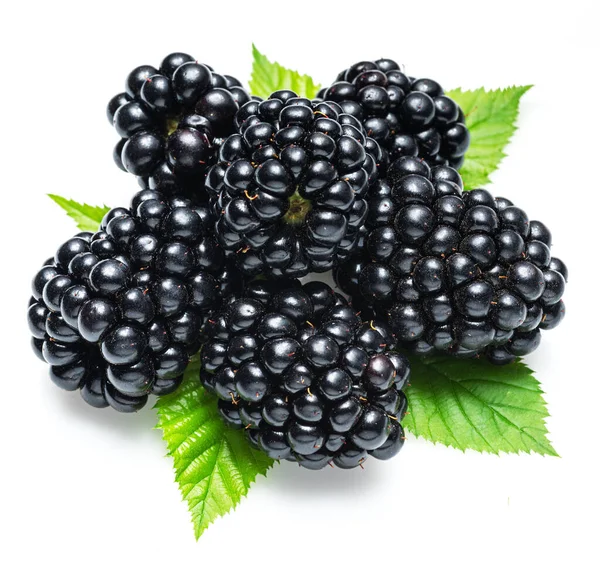 Blackberries Blackberry Leaves Isolated White Background — Stock Photo, Image