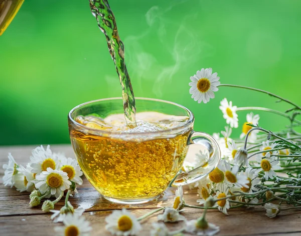 Herbal Chamomile Tea Chamomile Flowers Teapot Tea Glass Rural Countryside — Stock Photo, Image