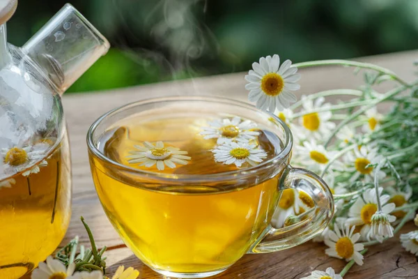 Herbata Ziołowa Rumianek Kwiaty Rumianku Pobliżu Czajniczek Szklanki Herbaty Tło — Zdjęcie stockowe