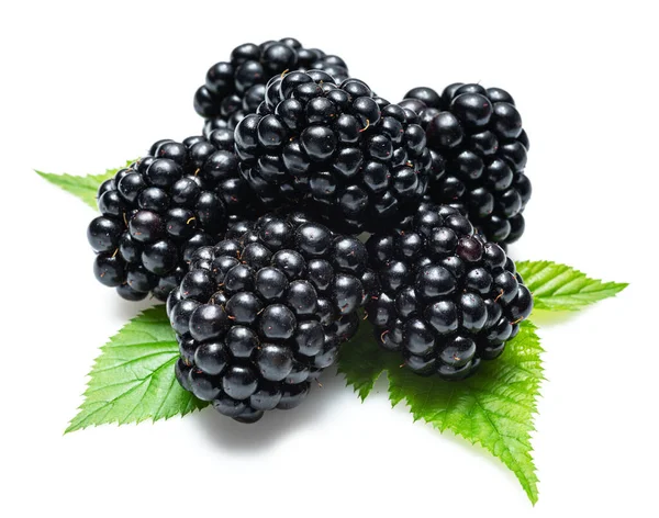 Blackberries Ежевикой Листья Изолированы Белом Фоне — стоковое фото