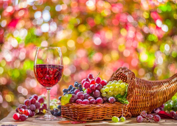 Natura Morta Autunnale Con Diversi Vitigni Maturi Calice Vino Dietro — Foto Stock