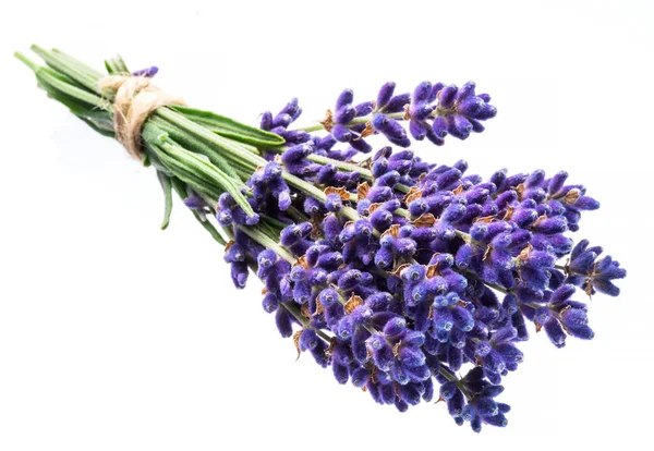 Bunch Lavandula Eller Lavendel Blommor Isolerad Vit Bakgrund — Stockfoto