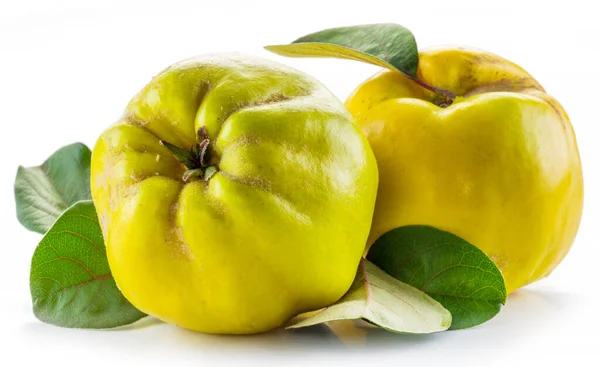 Zralé Zlatožluté Quince Plody Izolované Bílém Pozadí Malá Skupina Ovoce — Stock fotografie