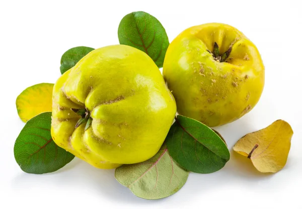 Dojrzałe Żółte Owoce Pigwy Wyizolowane Białym Tle Mała Grupa Owoców — Zdjęcie stockowe