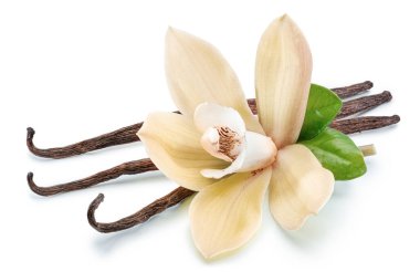 Sarı güve çiçeği ve beyaz arka planda vanilya çubukları. Dosya kırpma yolu içeriyor.