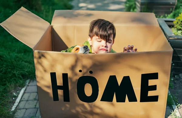 Sonriente Niño Perro Jugando Caja Cartón Con Casa Inscripción Vacaciones — Foto de Stock