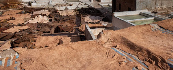 Güneşe maruz kalan deriler, farklı türde ve tonlarda.