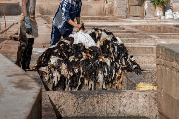 Proses Kulit Menyelipkan Kulit Dalam Kolam Untuk Menghapus Rambut Marrakech — Stok Foto