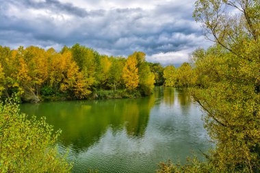 Suya yansıyan ağaçlarla dolu göl.