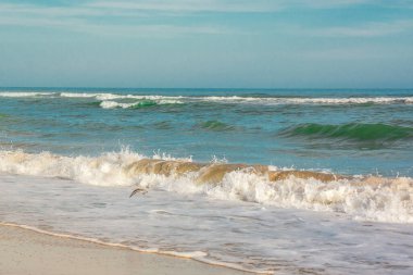 Issız sahil, deniz dalgaları