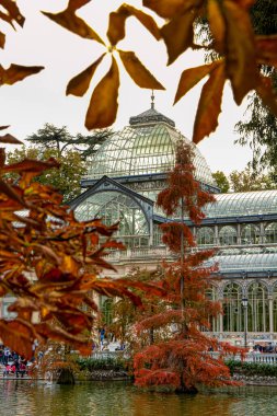 Sonbaharda Cam Saray, Madrid