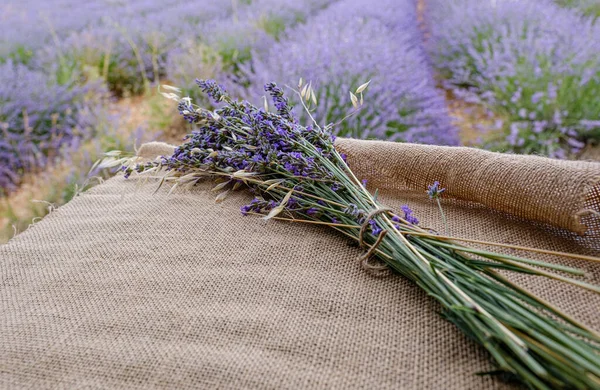 Lavendel Blomma Bukett Fältet — Stockfoto