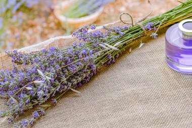 Tarlada lavanta şişesi çiçeği parfümü
