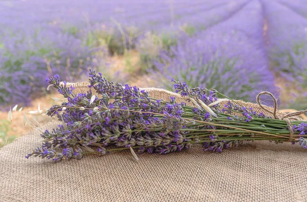 Lavendel Blomma Bukett Fältet — Stockfoto