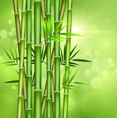Vektör yeşil bambu sapları ve yaprakları