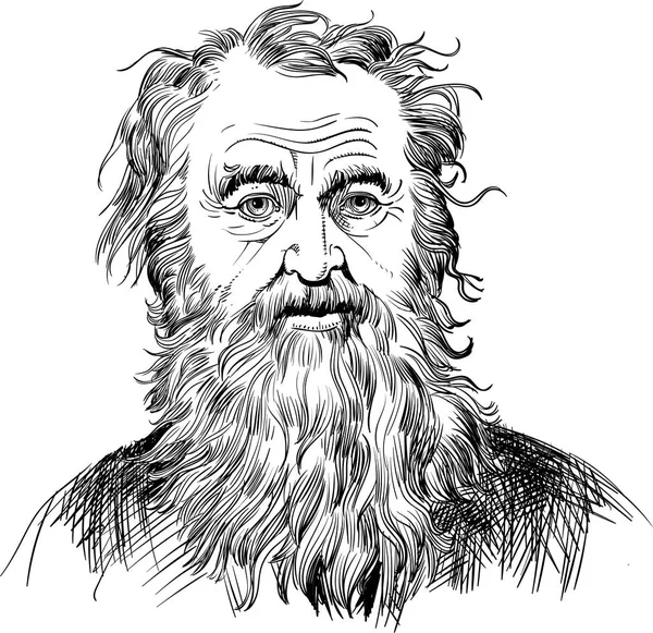 Diogenes Sinope Portrait Line Art Illustration Ancient Greek Philosopher One — Stock Vector