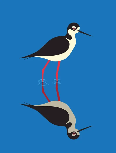 Black-necked Stilt bird (Himantopus mexicanus), illustration vector — Stock Vector