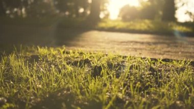 Parkta sürüş sahip kız